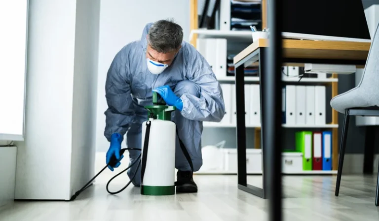 افضل شركة مكافحة حشرات بجازان