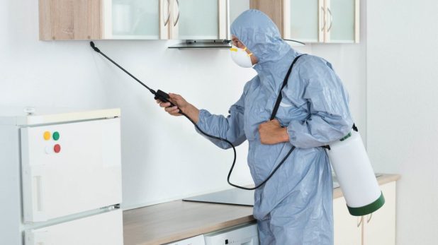 شركة رش حشرات بجازان سعودي كلين